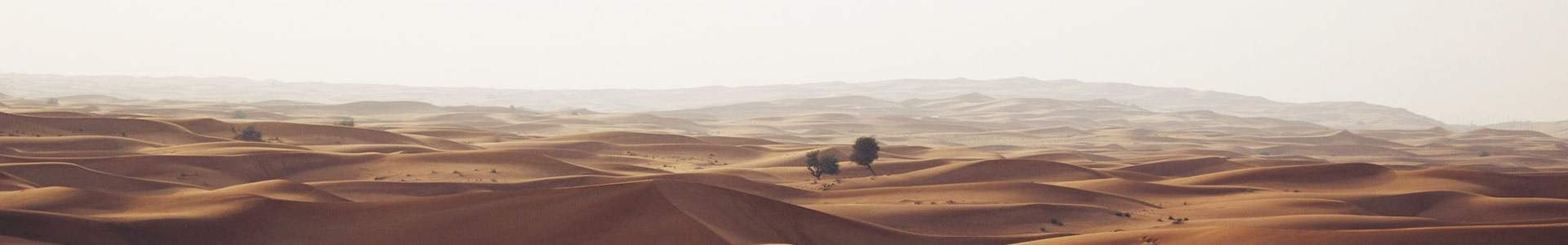 ˫Ƽ޹˾